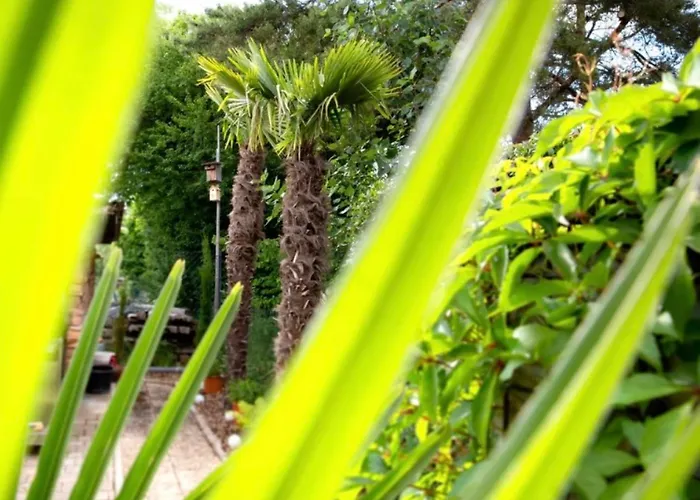 Am Palmengarten Apartment Marktbergel