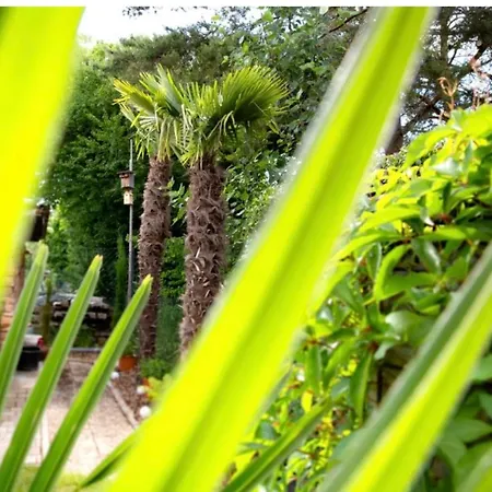 Am Palmengarten דירה Marktbergel